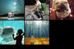 Nhanh tay tải 8 ứng dụng iOS đang miễn phí tạm thời