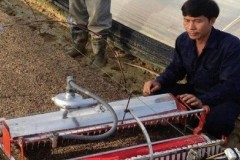 Nông dân Hải Dương chế robot, Israel ngả mũ bái phục