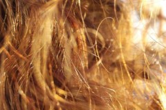 Protein trong tóc có thể giúp xác nhận danh tính của một người