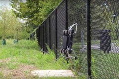 Robot có thể nhảy tung tăng như cún con, leo rào và mở cửa dễ dàng