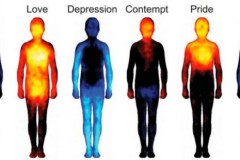 Tại sao cơ thể chúng ta nóng lạnh thất thường?