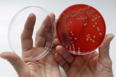 Tạo ra phân tử nhân tạo chống lại vi khuẩn kháng thuốc