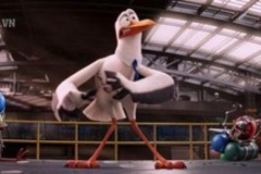 Tiểu Đội Cò Bay - Phim hoạt hình giải trí cho cả nhà vào dịp cuối tuần