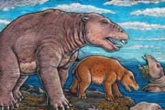 Tìm thấy hóa thạch hà mã cổ đại được mệnh danh "máy hút bụi"