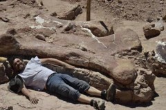 Tìm thấy hóa thạch khủng long lớn nhất thế giới hơn 77 tấn chấn động giới khoa học