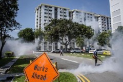 Virus Zika ở Singapore có thể tiến hóa từ chủng cách đây 60 năm