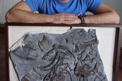 Chàng trai hì hục 2 năm khôi phục hóa thạch xà đầu long 200 triệu tuổi