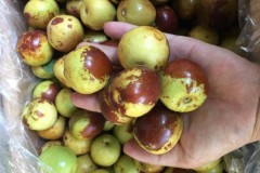 Ngon mắt, sướng mồm: 5 loại quả đích thị hàng Tàu vẫn mua