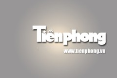 Thu giữ hai tấn ngà voi núp trong ruột gỗ