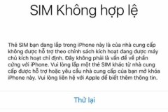 Điều gì khiến nhiều iPhone xách tay trở thành “cục gạch”?