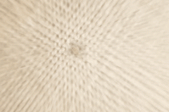 Nếu không muốn thủng phổi, hãy ngưng ngay thói quen này