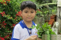 Nhà sáng chế tí hon, thất bại ba lần trước khi chế thành công máy diệt ruồi