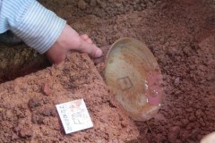 Phát hiện đĩa cổ ở nơi nghi chôn cất vua Quang Trung