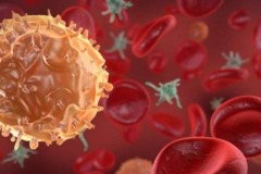 10% trẻ em trên thế giới có hệ miễn dịch chống lại HIV