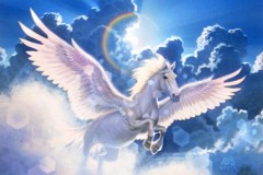 4 sự thật thú vị về thương hiệu Asus