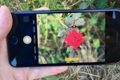 Apple phát hành iOS 10.1 beta 2 cho các lập trình viên lẫn người dùng