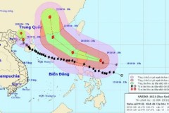 Bão Sarika suy yếu thành áp thấp nhiệt đới