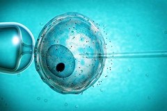 Bé trai sinh ra từ ống nghiệm có nguy cơ vô sinh cao