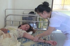 Bùng phát ổ dịch sốt xuất huyết ở Nghệ An, 37 người đã mắc bệnh