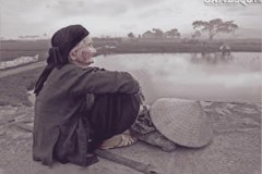 Có thể bạn sẽ khóc khi đọc xong câu chuyện về bà cụ già ăn xin