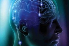 Đã có cách lấy lại khả năng học hỏi "năng suất" như trẻ em