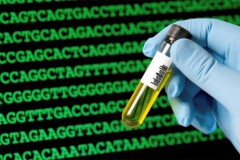 Mã vạch DNA - Cuộc cách mạng trong phân loại sinh vật?