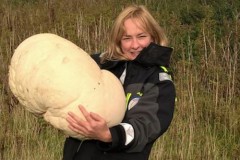 Nấm trứng nặng hơn 10kg ở Scotland