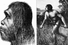 Người Piltdown: Vụ lừa đảo lớn nhất của thuyết tiến hóa