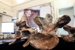 Phát hiện hóa thạch những con khủng long lớn chưa từng thấy