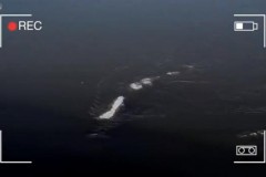 Sinh vật biển nghi có họ với quái vật Loch Ness ở Alaska