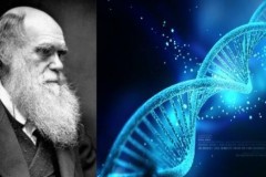 Sự thật về thuyết tiến hóa: DNA – tử huyệt của học thuyết Darwin
