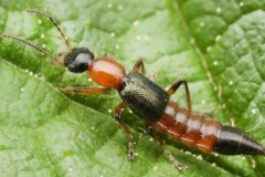 Tổng hợp tin tức hay nhất tuần 03/10