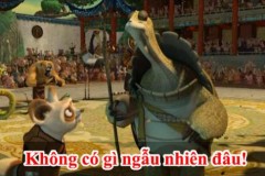 Trên đời không có gì là ngẫu nhiên!