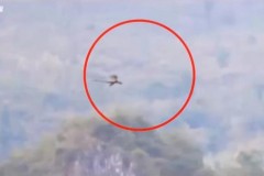 Video: Sinh vật nghi là rồng bay trên đỉnh núi Trung Quốc