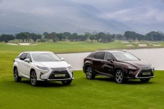 Toyota Việt Nam triệu hồi Lexus RX350 và RX 200T để kiểm tra túi khí