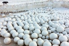 Hàng nghìn quả cầu tuyết xuất hiện trên bờ biển Nga