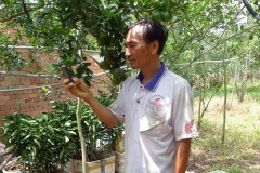 Phun thuốc, tưới cây tự động bằng điện thoại di động “cùi bắp”