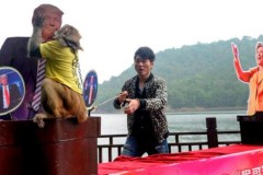 Chú khỉ "tiên tri" dự đoán Donald Trump đắc cử Tổng thống Mỹ