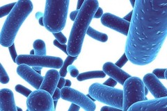 Điểm danh những loại vi khuẩn cực có lợi cho con người