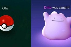 Game thủ Pokemon GO đã bắt được Ditto