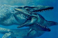 Hóa thạch quái vật biển 75 triệu năm nguyên dấu răng kẻ thù