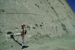 Khủng long đi bộ trên vách đá dựng đứng? Chiêm ngưỡng vách đá in 5000 dấu chân khủng long