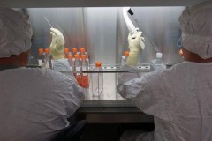 Mỹ bắt đầu thử nghiệm vaccine ngừa Zika trên người