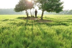 Ngắm Hội An đẹp lung linh qua ống kính Xperia XZ