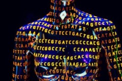 Số gene không quyết định mức độ tiến hóa của con người