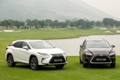 Xe sang Lexus RX350 và RX200t tại Việt Nam bị triệu hồi