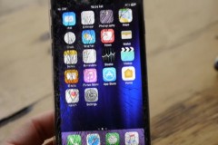 Thanh niên rảnh rỗi mang iPhone 7 ra “trêu” cá sấu và cái kết đắng lòng