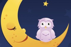 5 lý do khiến "cú đêm" trở nên tài giỏi