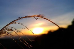 Hướng dẫn mẹo chụp và chỉnh sửa ảnh đẹp trên smartphone