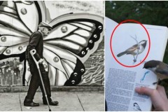 25 khoảnh khắc trùng hợp thú vị chỉ có thể gặp một lần trong đời